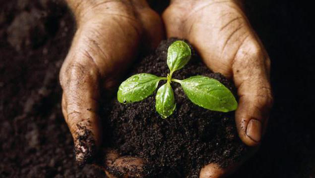 les conditions et les conditions de conservation des terres sont établies