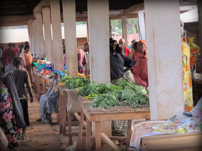 agriculture de subsistance et production marchande