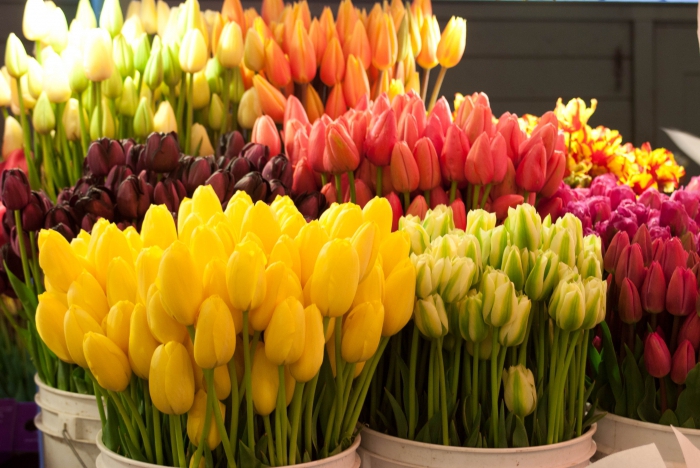 comment commencer à vendre des fleurs