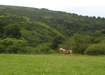  propriété foncière