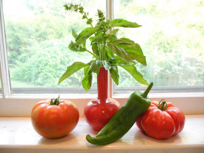 cultiver des plants de tomates et de poivrons