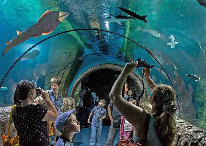 où est le nouvel aquarium à Moscou