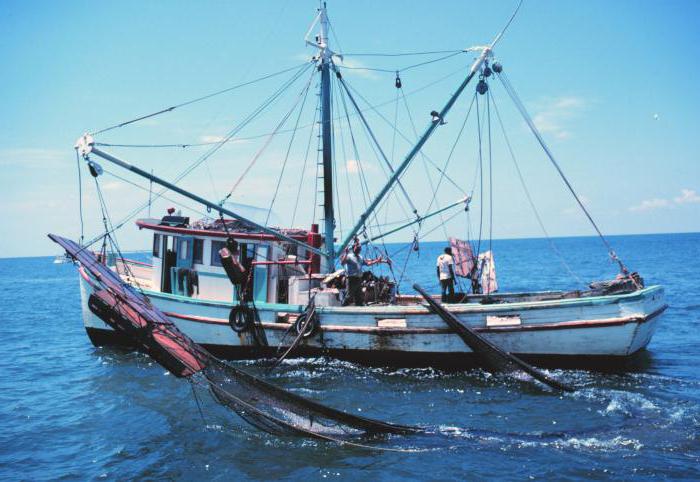 amende pour la pêche dans les filets de frai