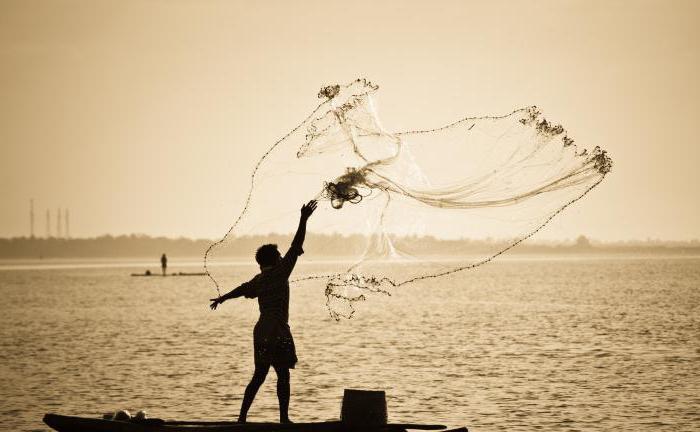 amendes pour pêche illégale