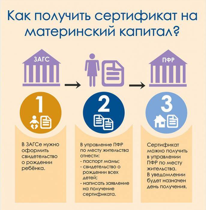 Formular de cerere de capital de maternitate