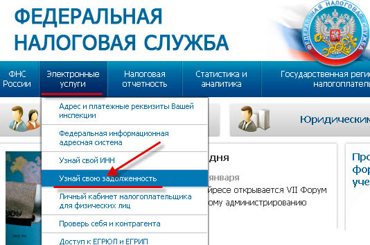 Site web al Serviciului Fiscal Federal al Federației Ruse și verificarea datoriei fiscale