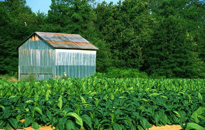 Land use in rural areas