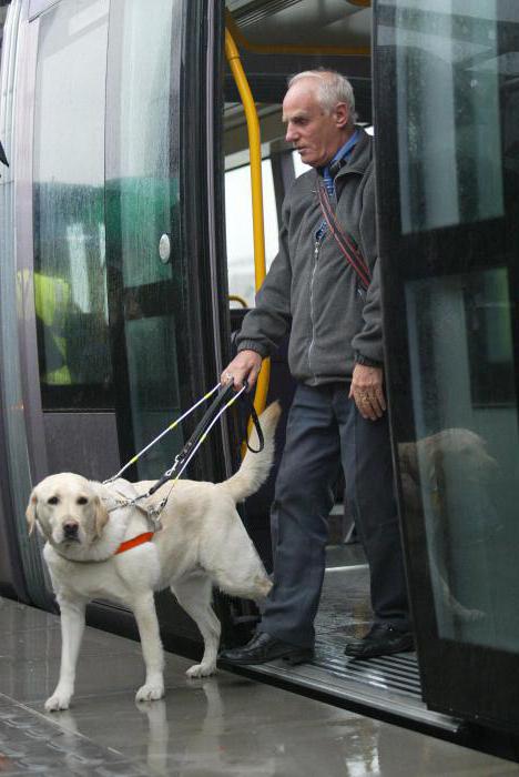 handicap au premier degré