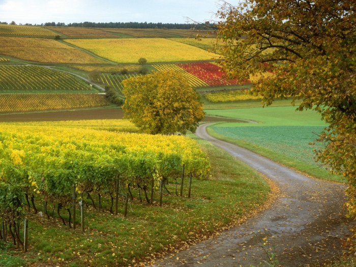 Visa Schengen en France