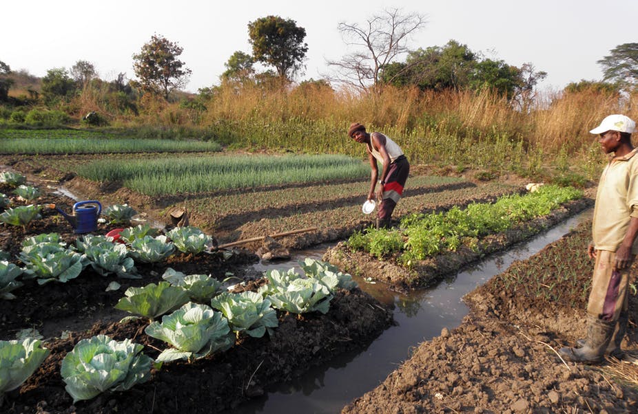 Fondul de redistribuire a terenurilor agricole