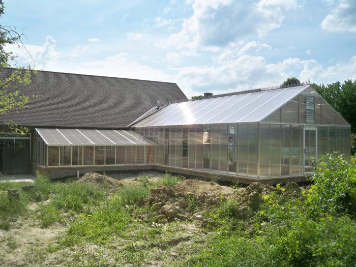 variétés de concombres pour une serre en polycarbonate