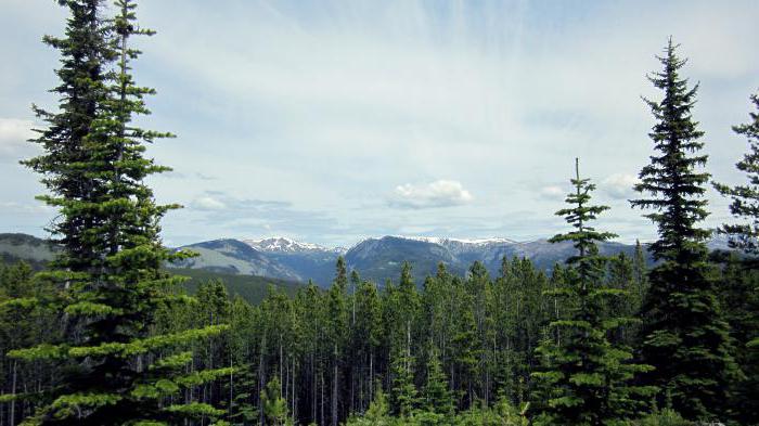 détermination de la catégorie de terrain