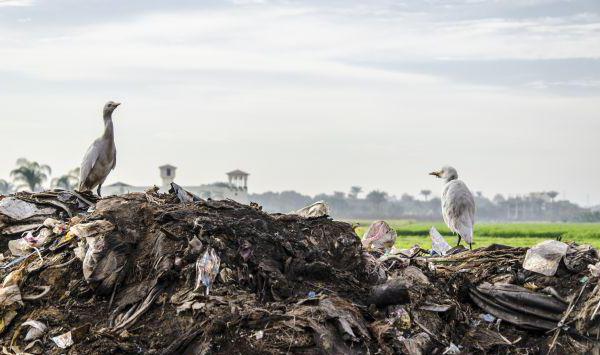 normes de déchets