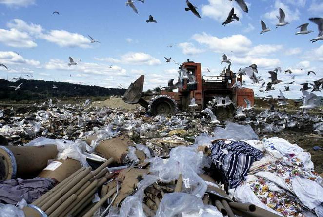 élaboration de normes sur les déchets