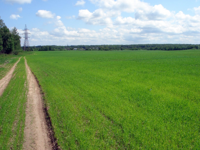 transfert de terres agricoles dans une autre catégorie