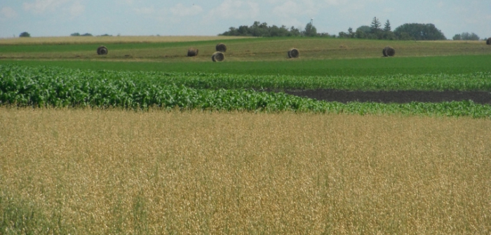 transfert de terres agricoles