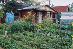 utilisation permanente illimitée de la terre