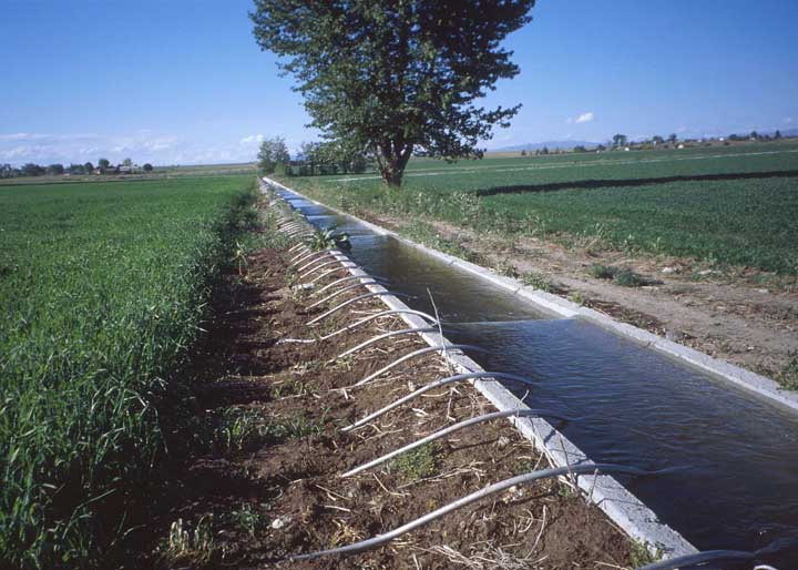 Système d'irrigation