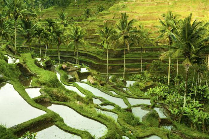 Le drainage des zones humides est un exemple de gestion environnementale.