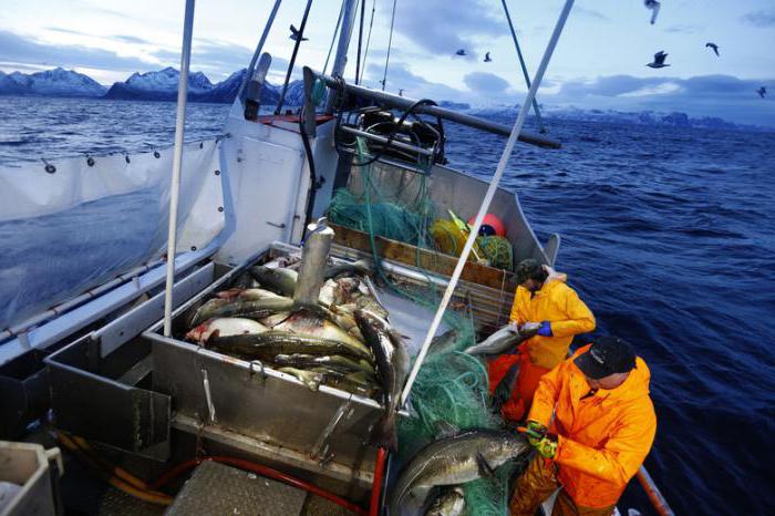 salaire moyen en norvège