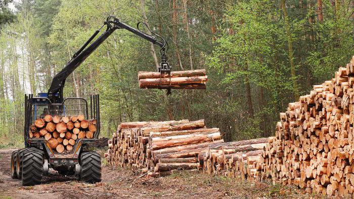 bien pour couper un arbre sur sa parcelle