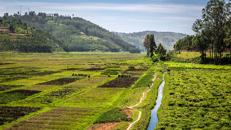 teren agricol al Rusiei