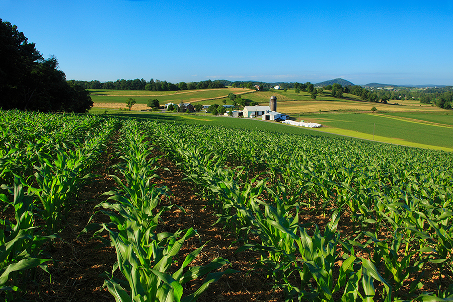 utilizarea terenurilor agricole