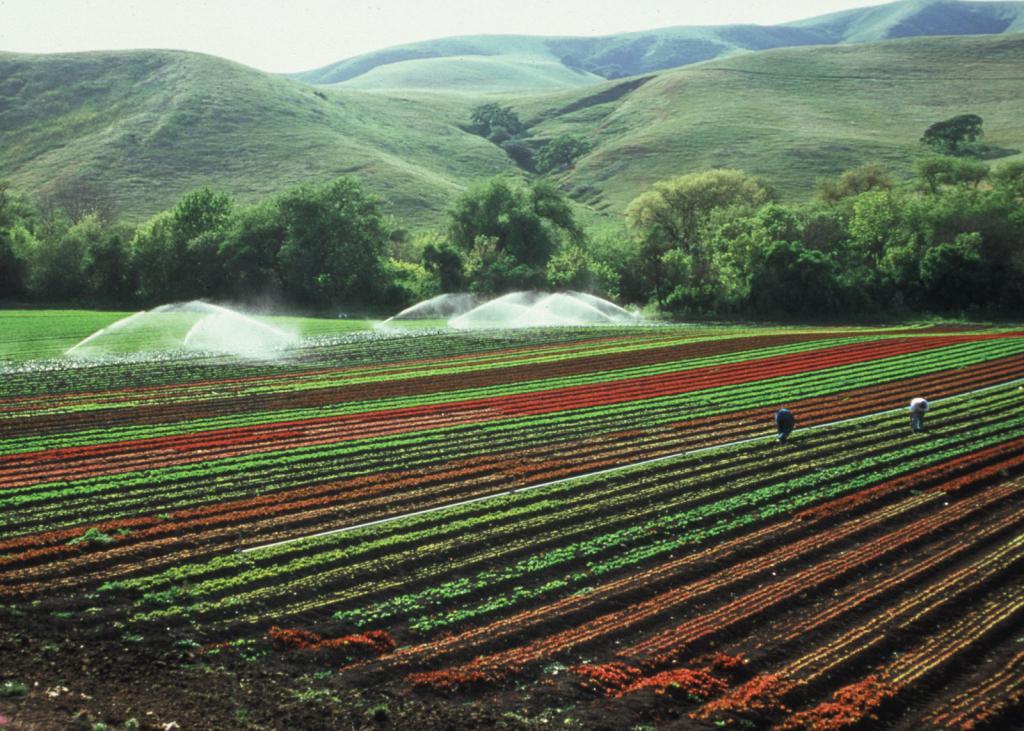 structura terenurilor agricole