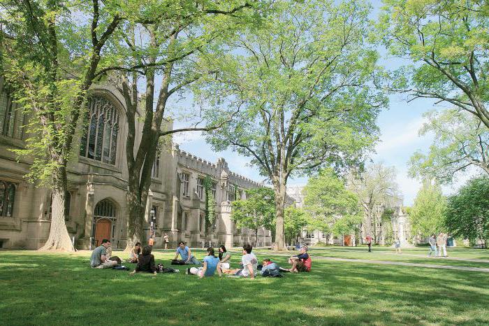 Universitatea Princeton