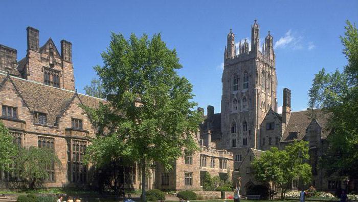 famous universities of america