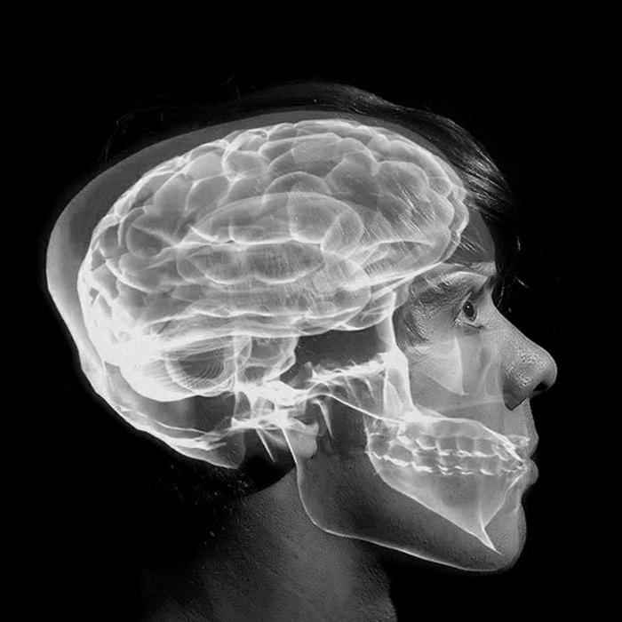 comment développer l'hémisphère du cerveau