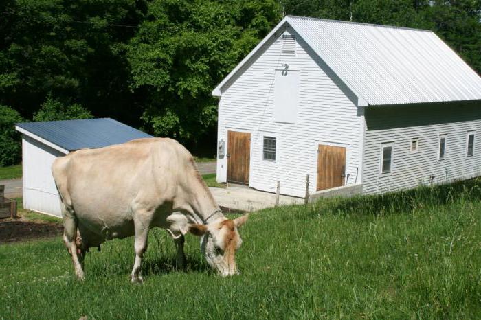 ferme à la maison comme une entreprise