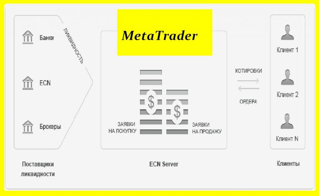 conturi forex ecn