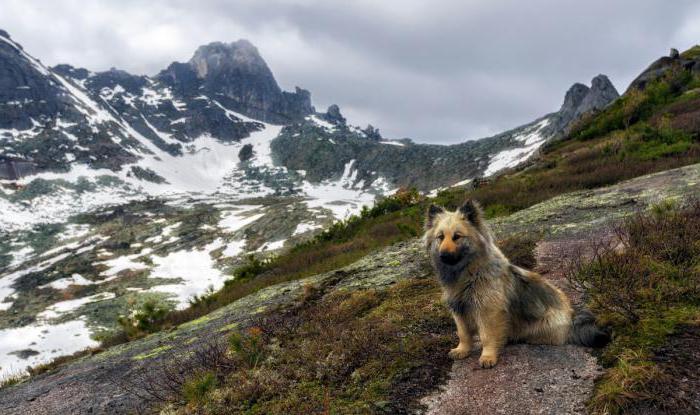 parcs nationaux réserves naturelles de la Russie