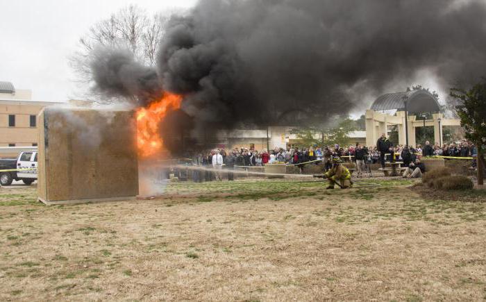 surveillance d'incendie d'état