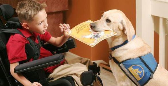 aider les personnes handicapées