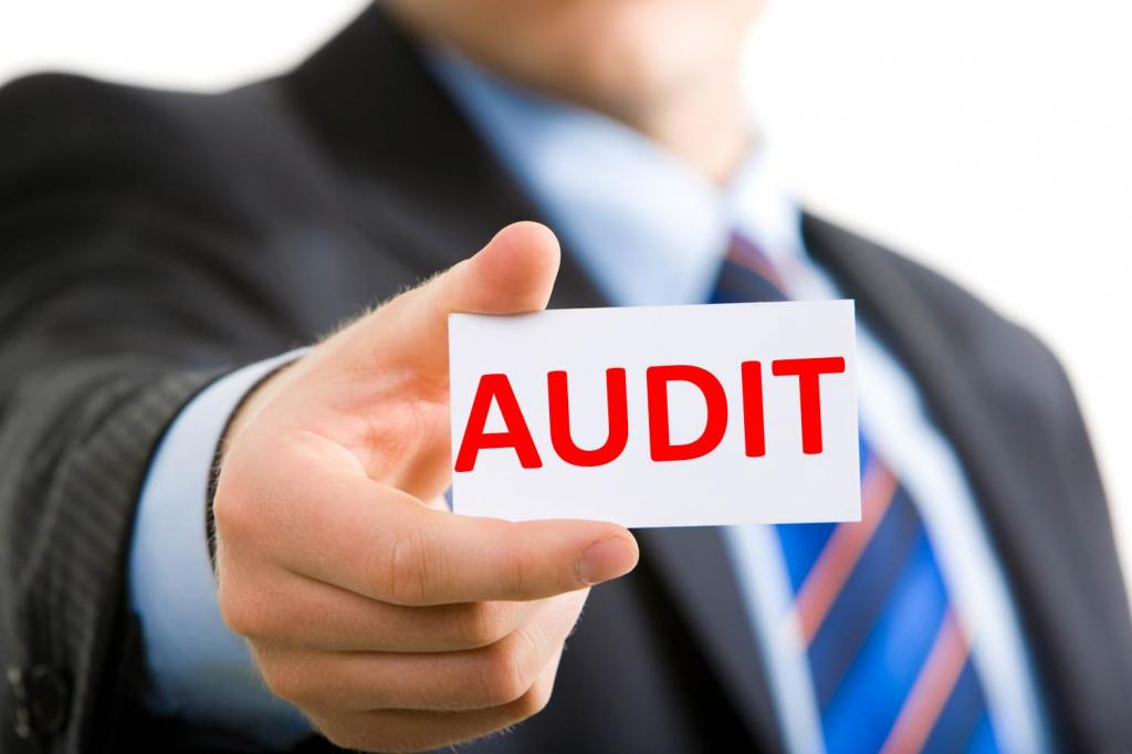 elementele de bază ale reglementării legale a activităților de audit