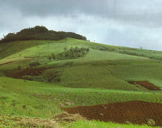 înstrăinarea terenurilor agricole