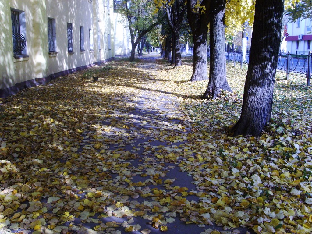 Toamna în Elektrostal