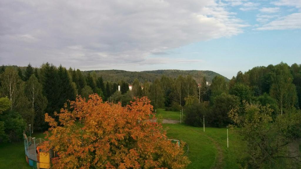 Natura regiunii Kemerovo