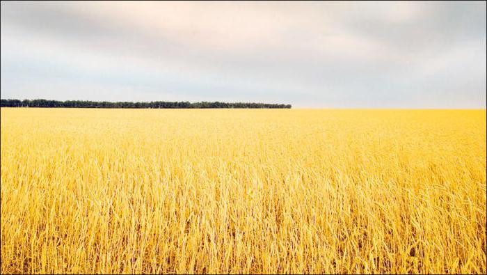 Ministère de l'agriculture de la région de Tcheliabinsk