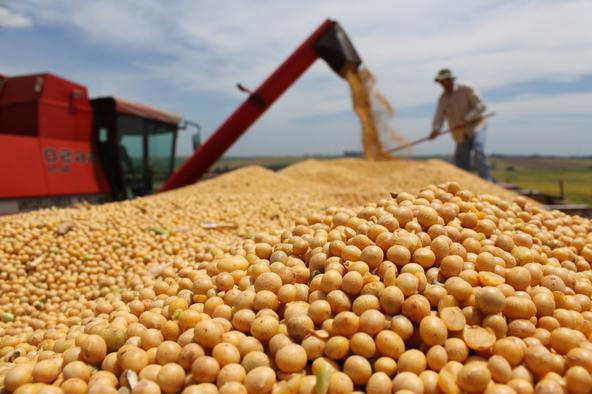 Produits agricoles de la région de Tcheliabinsk