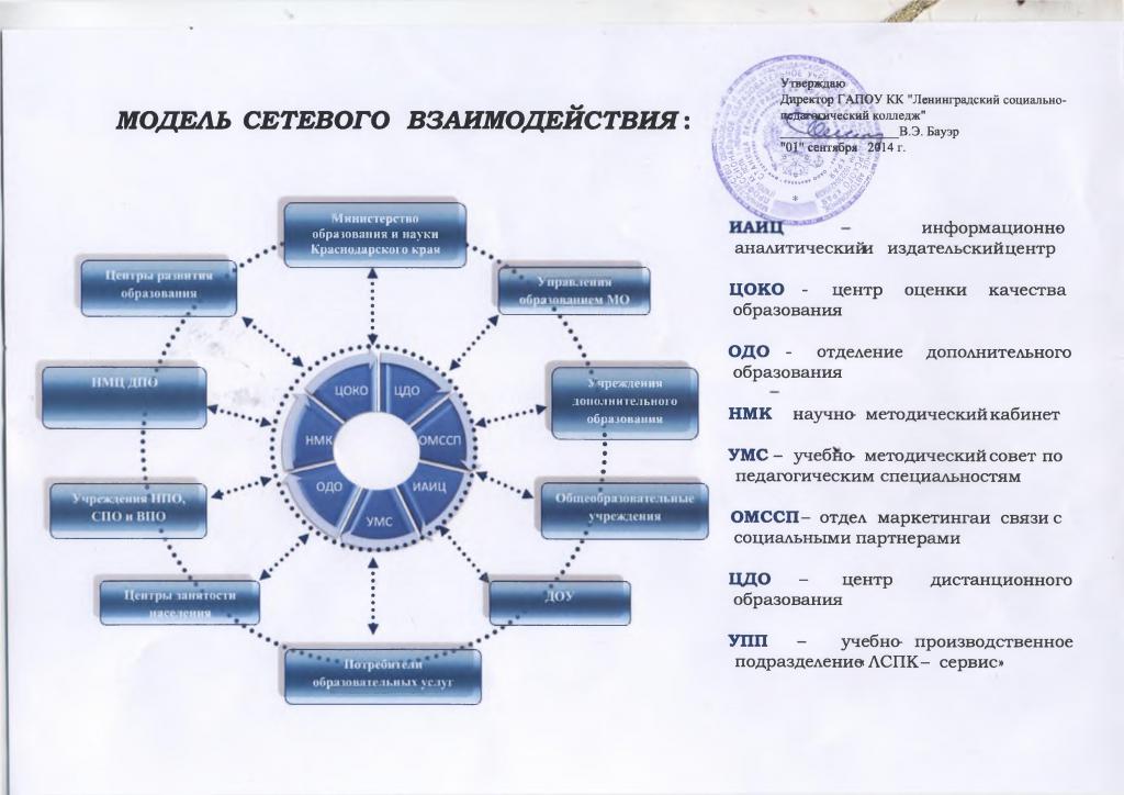 energie de organizare a rețelei