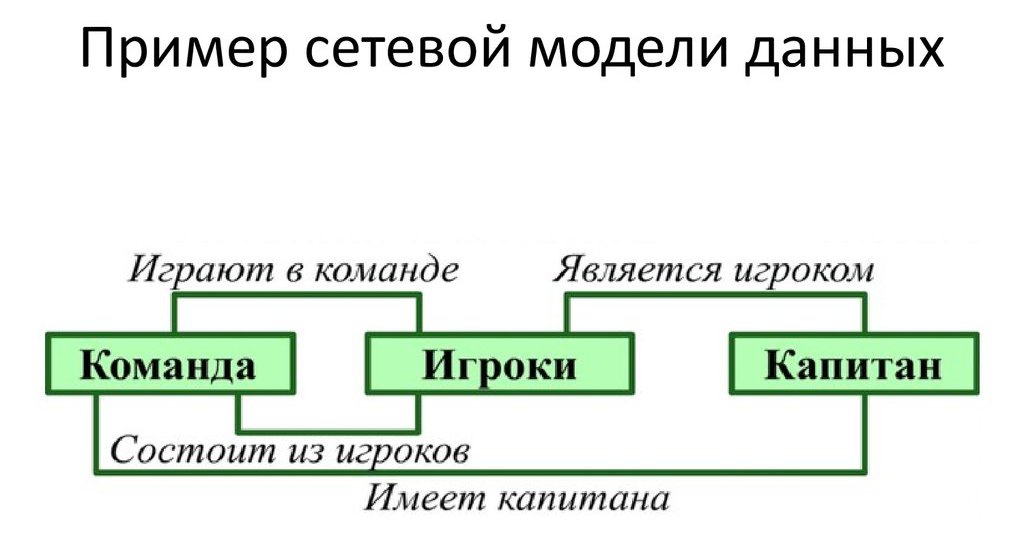 forma de rețea de organizare