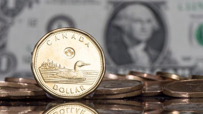 Dolar canadian la rubla