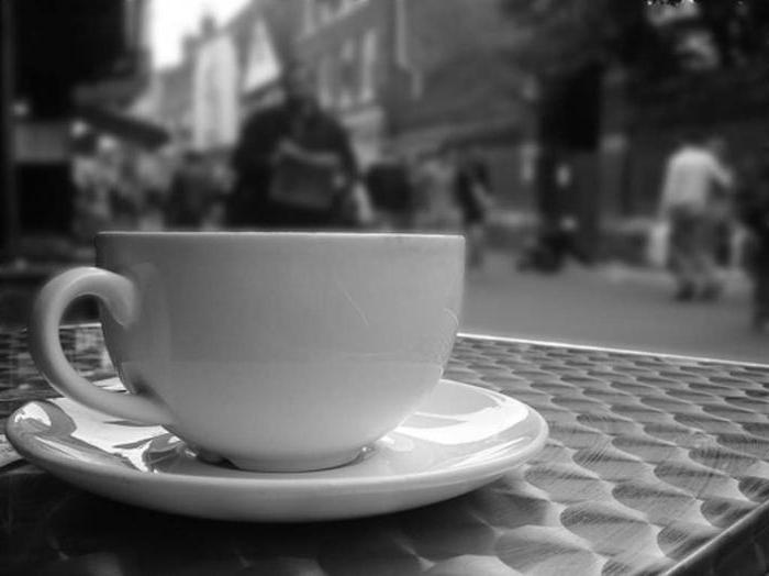 location de locaux non résidentiels pour un café