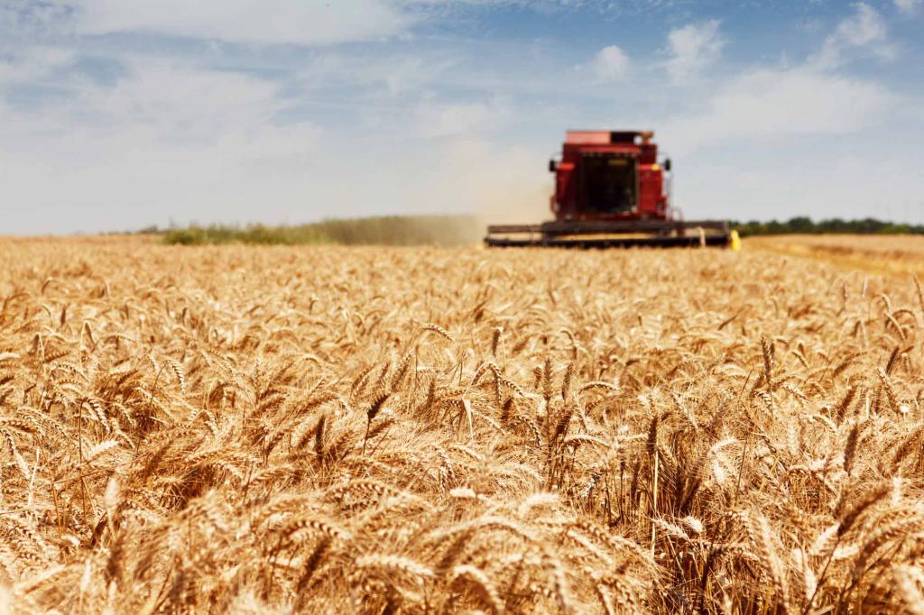 forme de cooperare agricolă