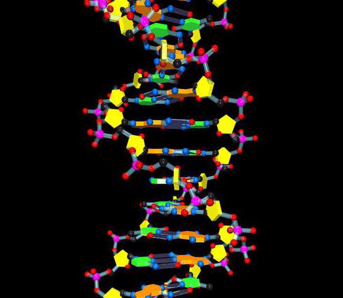 dovezi directe ale rolului genetic al ADN