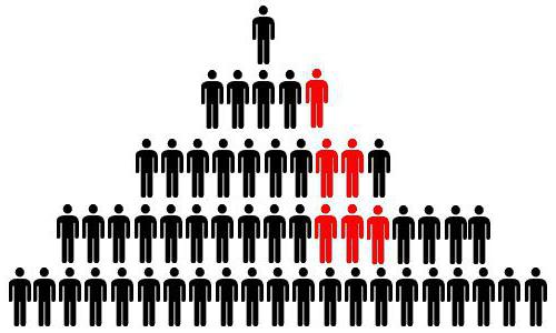 organigramme fonctionnel