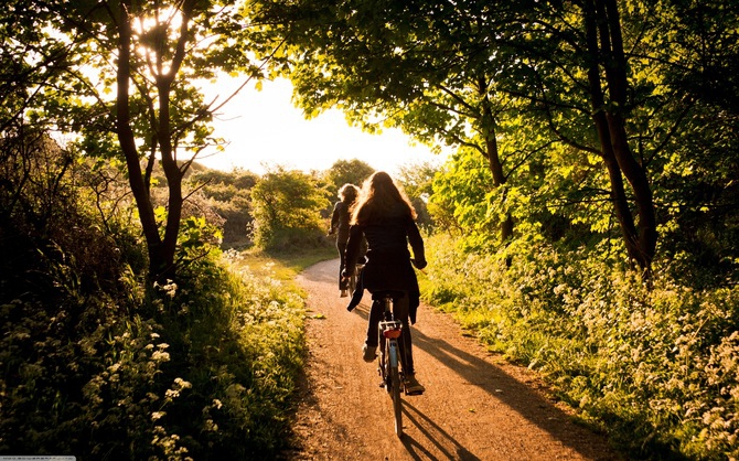 plan d'affaires de location de vélos